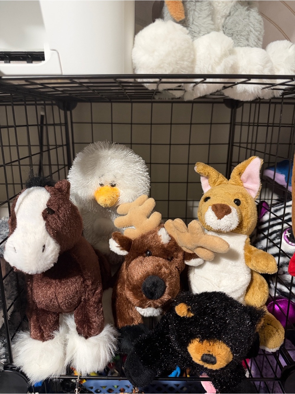 Webkinz Bundle of 5
